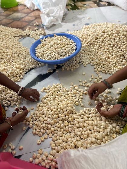 Grading, sorting & handpicking - photo 5